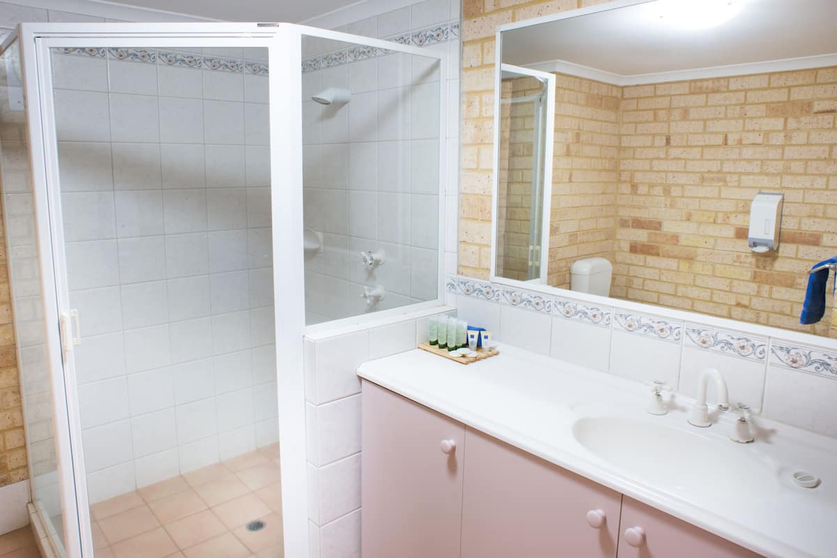 shower, free toiletries, hair dryer, towels