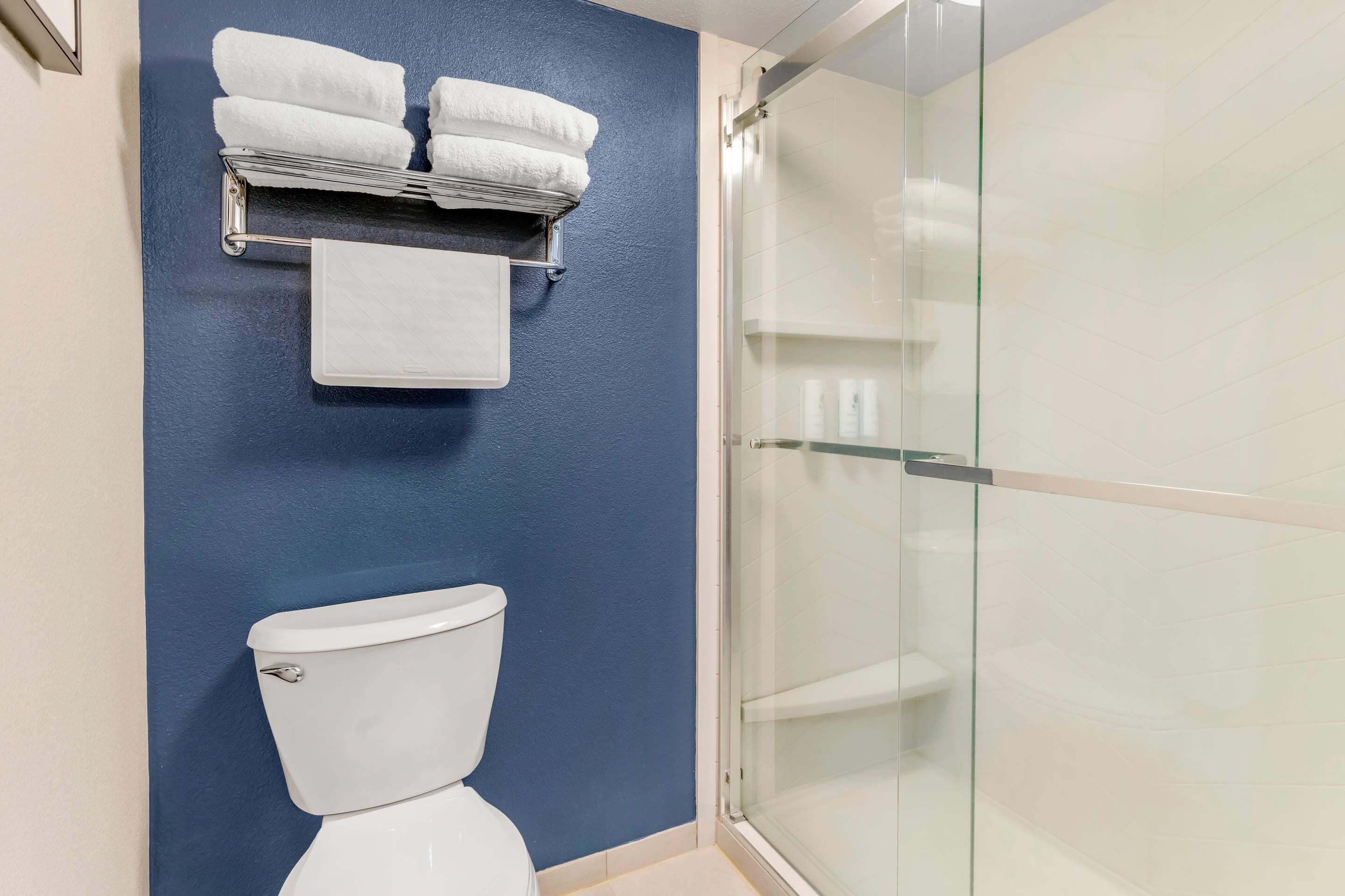 A bathroom with a blue wall, a white toilet, and a glass shower enclosure.