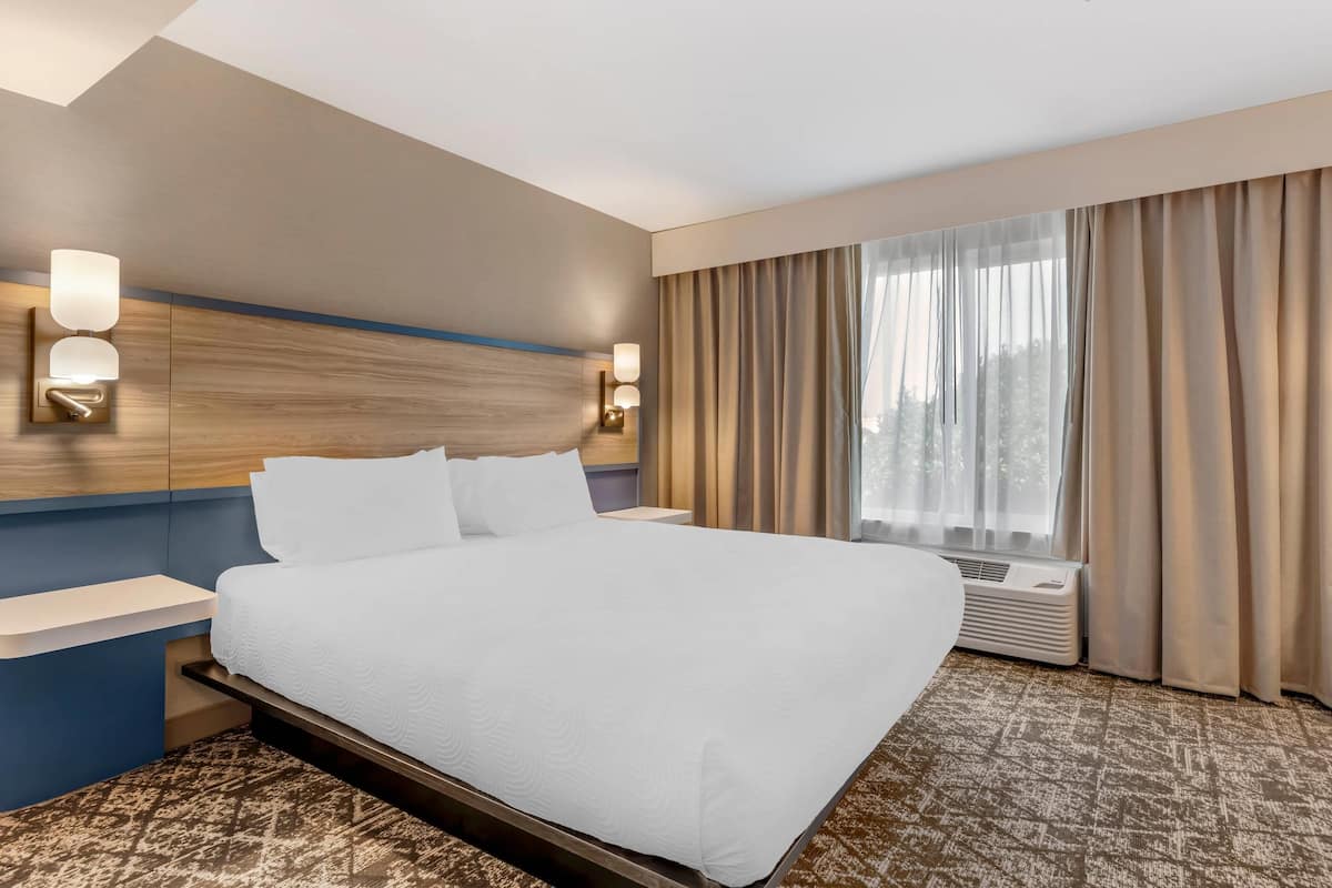 Suite, 1 King Bed with Sofa bed, Non Smoking | Desk, blackout drapes, iron/ironing board, free WiFi