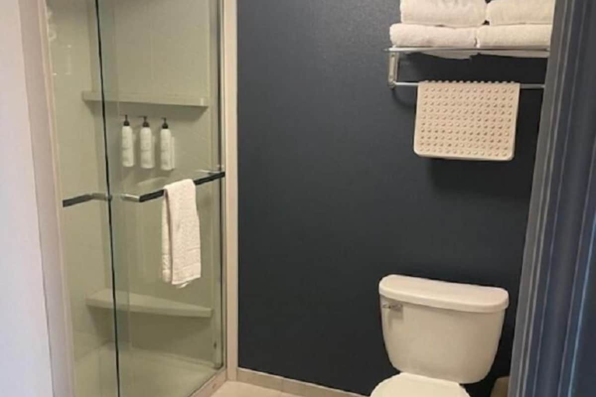 A bathroom with a glass-enclosed shower, a toilet, and a shelf with toiletries.