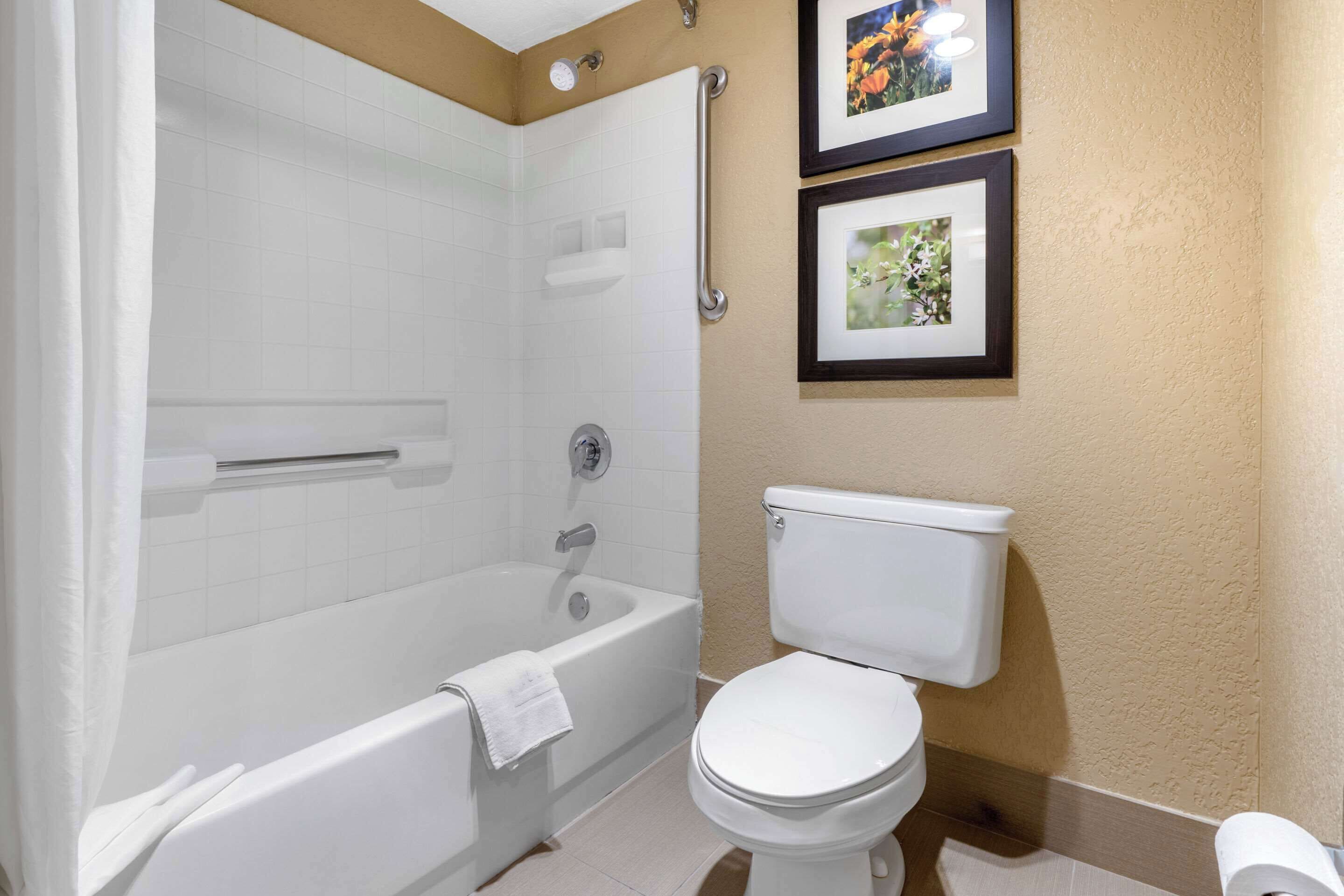 Un baño con bañera, inodoro y dos cuadros en la pared.