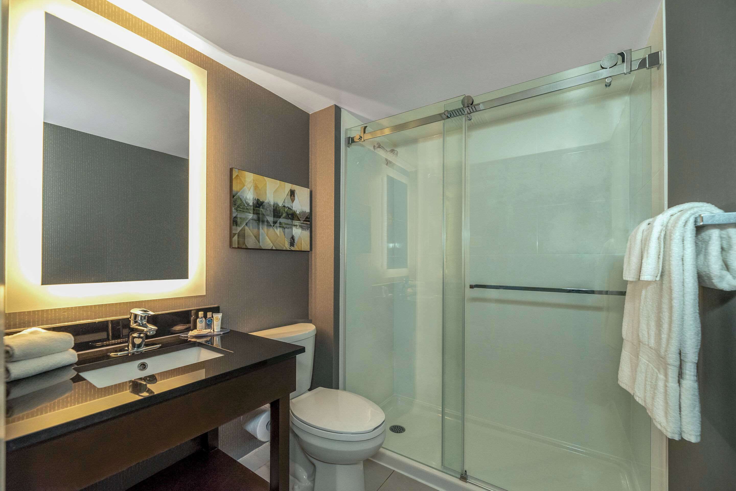 A modern bathroom with a glass-enclosed shower, a large mirror, and a dark countertop sink.