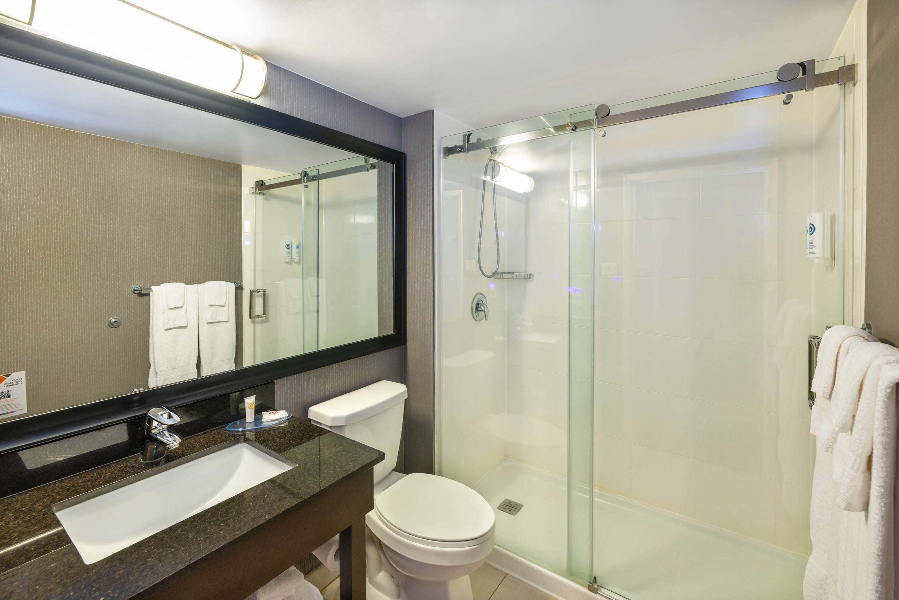 Une salle de bain moderne avec une douche à parois de verre, un lavabo avec un miroir au-dessus et des toilettes.