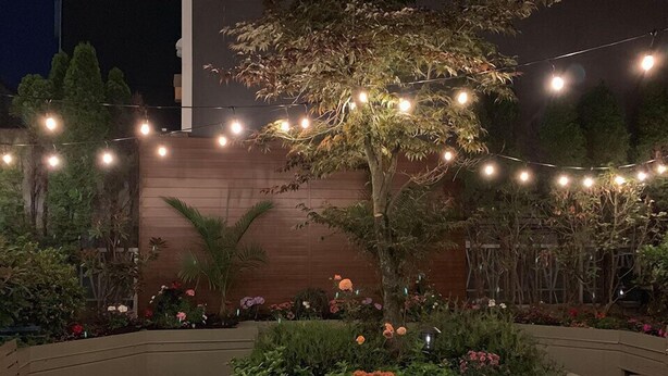 Garden - Best Western Plus Uptown Hotel (Vancouver)