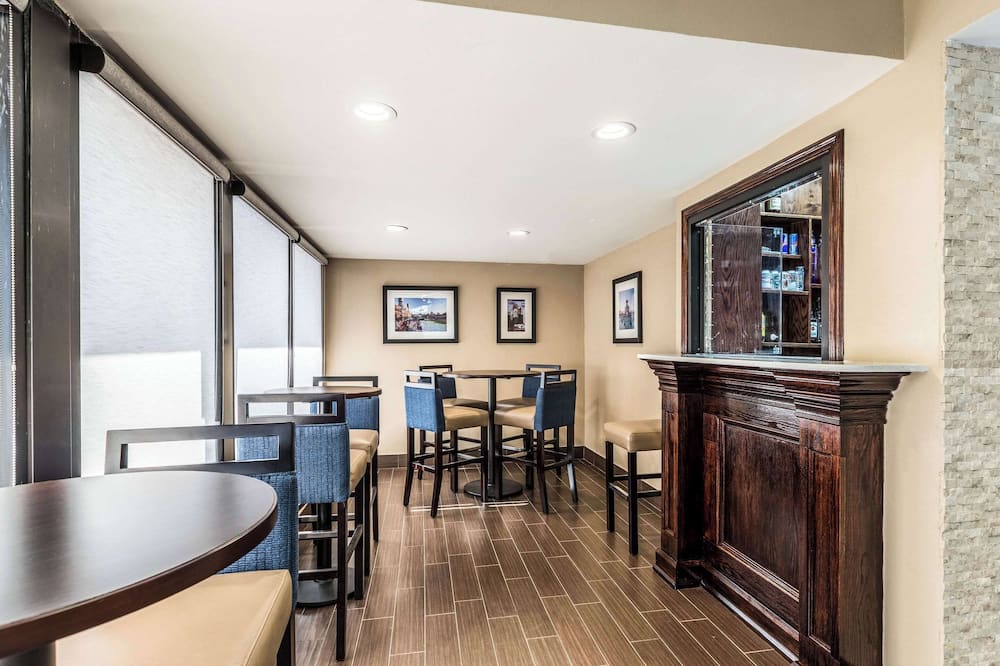 Comfort Inn Detroit Downtown
