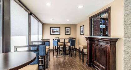 Comfort Inn Detroit Downtown