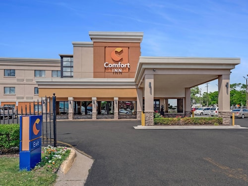 Comfort Inn Detroit Downtown