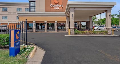 Comfort Inn Detroit Downtown