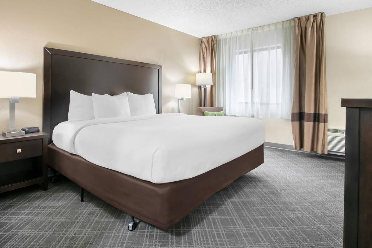 Standard Room, 1 King Bed, Non Smoking, Jetted Tub | Desk, laptop workspace, blackout drapes, iron/ironing board