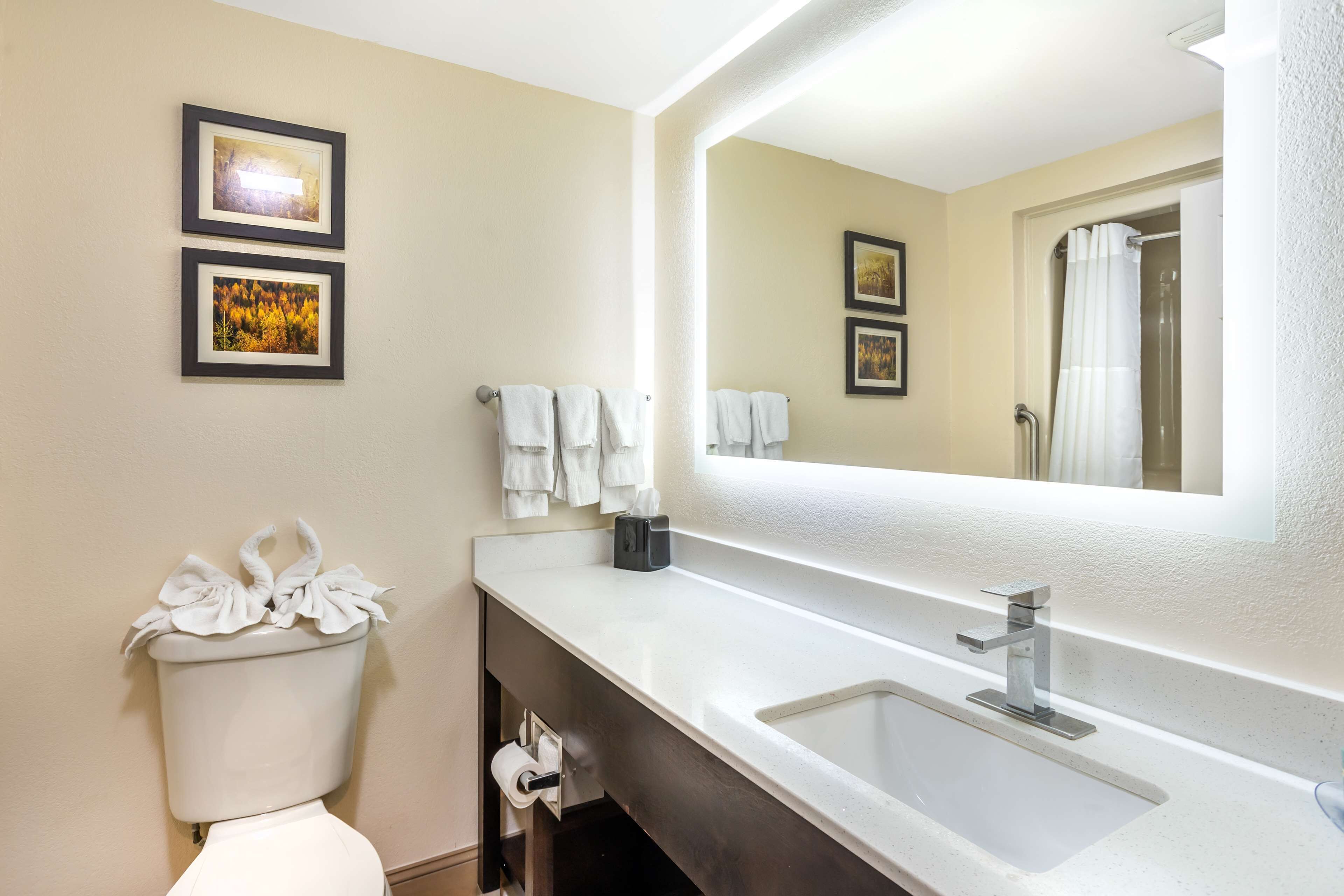 Combined shower/tub, free toiletries, hair dryer, towels