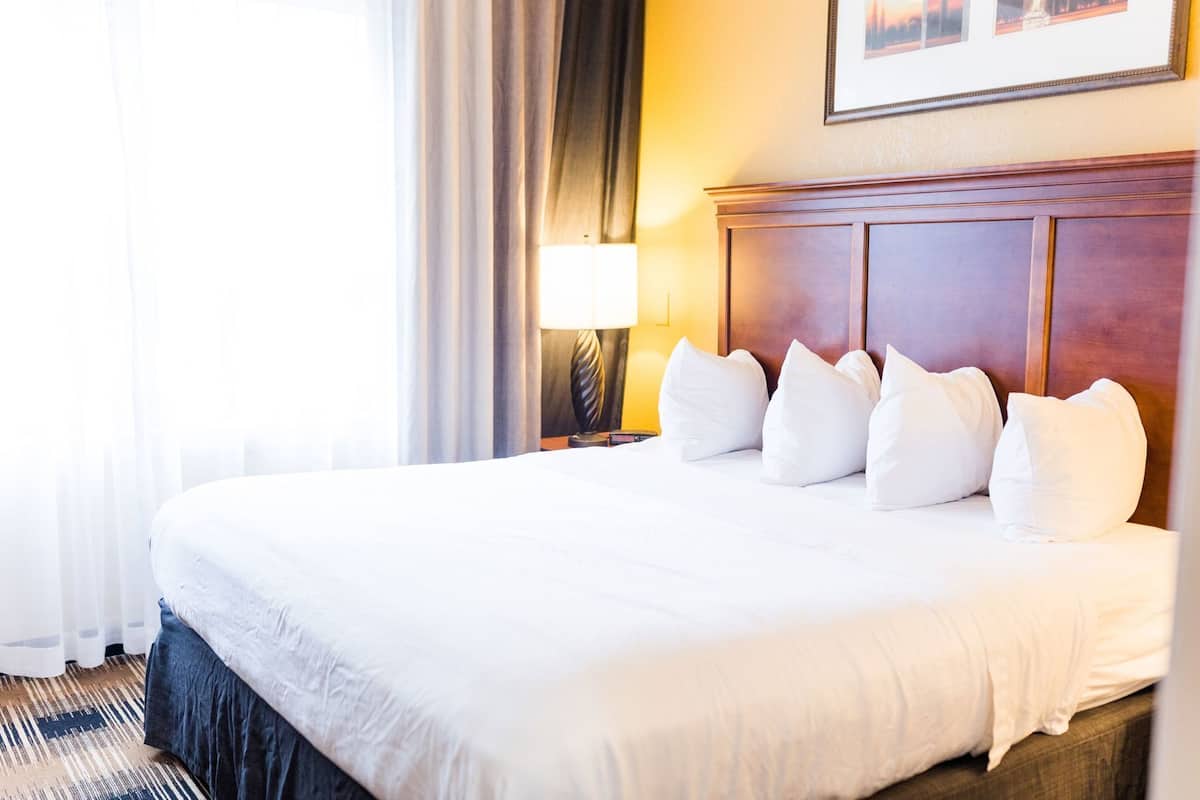 A hotel room with a large bed, a nightstand, a lamp, and a framed picture on the wall.