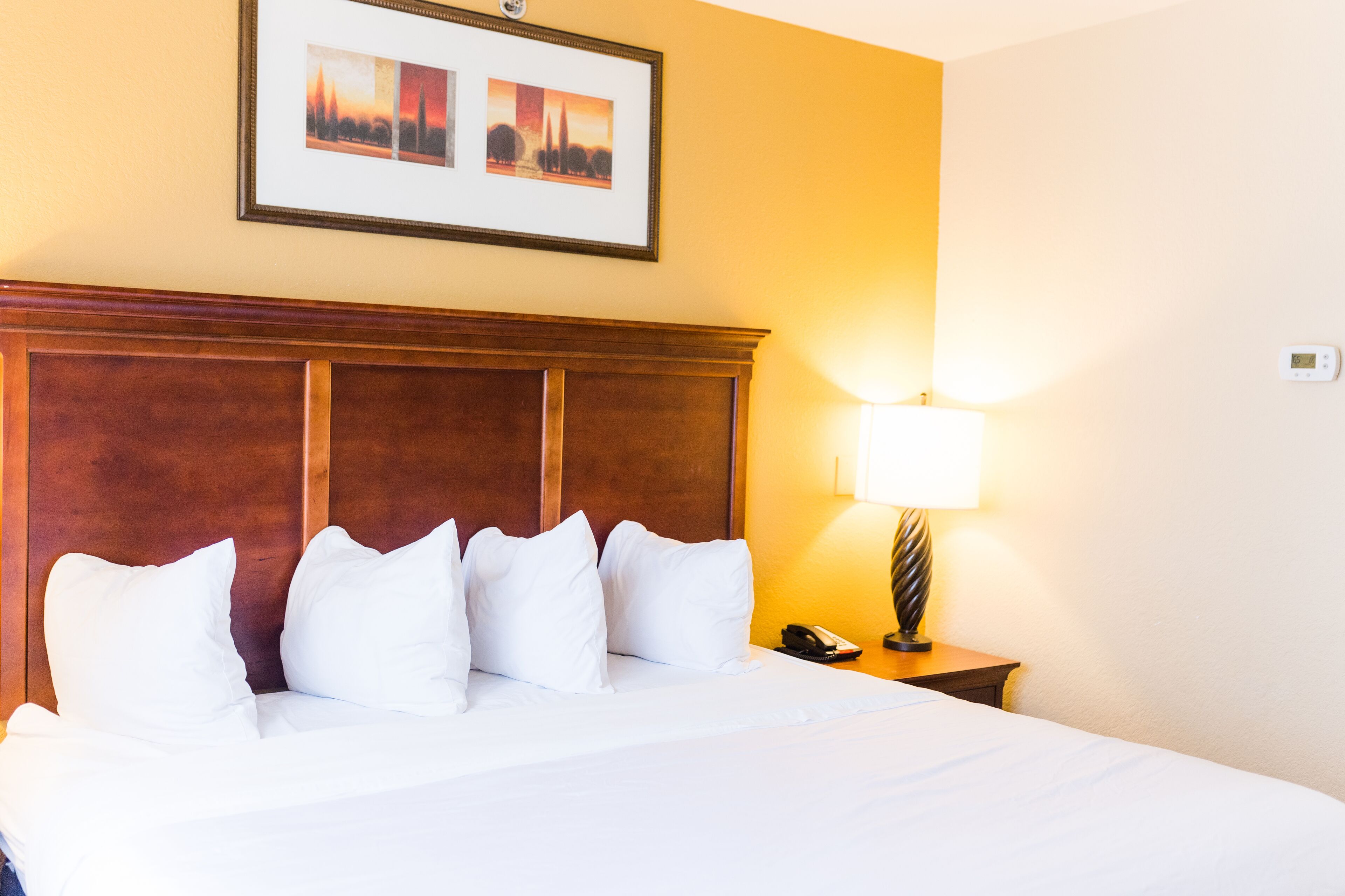 A hotel room with a large bed, a wooden headboard, a bedside lamp, and a framed picture on the wall.
