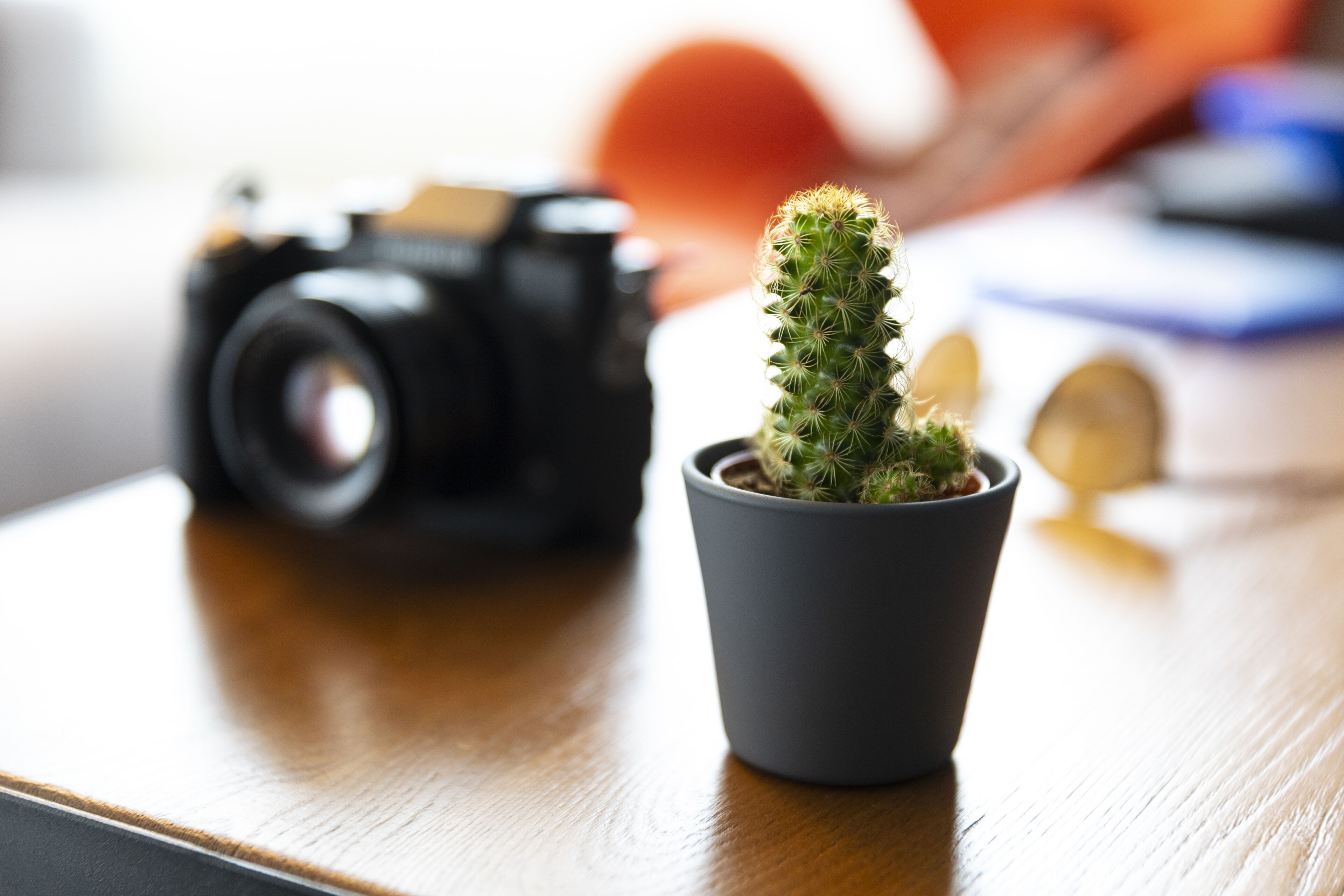 Foto - Pentahotel Rostock