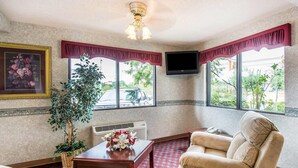A hotel room with a large window, a flat-screen TV, a wooden coffee table, a beige sofa, and a potted plant. - Econo Lodge Dothan West (Dothan)
