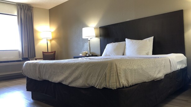 A hotel room with a large bed, two bedside lamps, a headboard, and a window with curtains. - Econo Lodge Dothan West (Dothan)