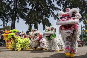 Un grupo de artistas de danza del león en coloridos trajes.