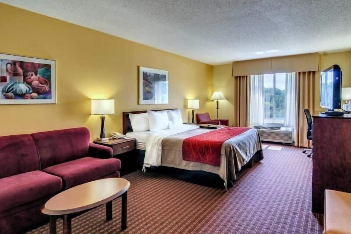 Une chambre d’hôtel avec un lit, un canapé, un bureau, une télévision et une fenêtre.