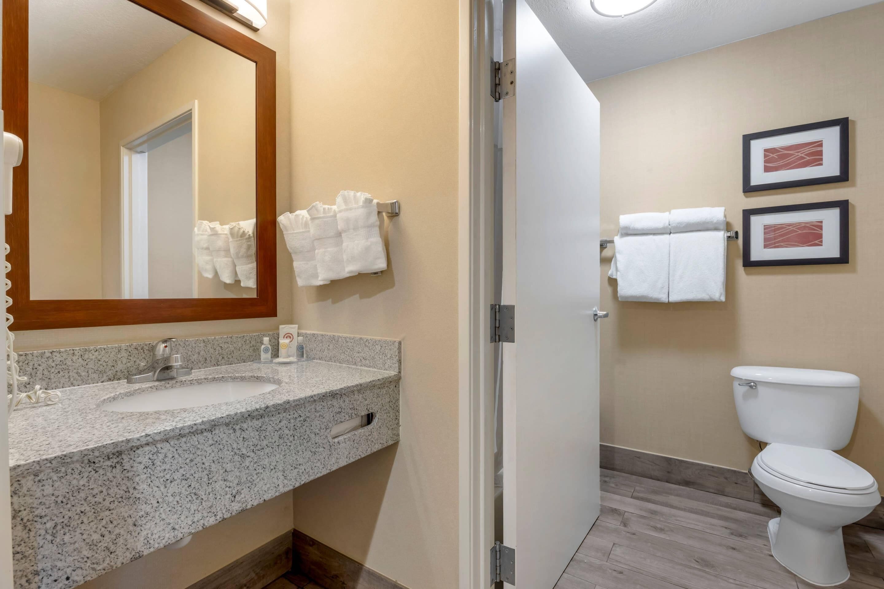 A bathroom with a granite countertop sink, a mirror, a toilet, and two framed pictures on the wall.