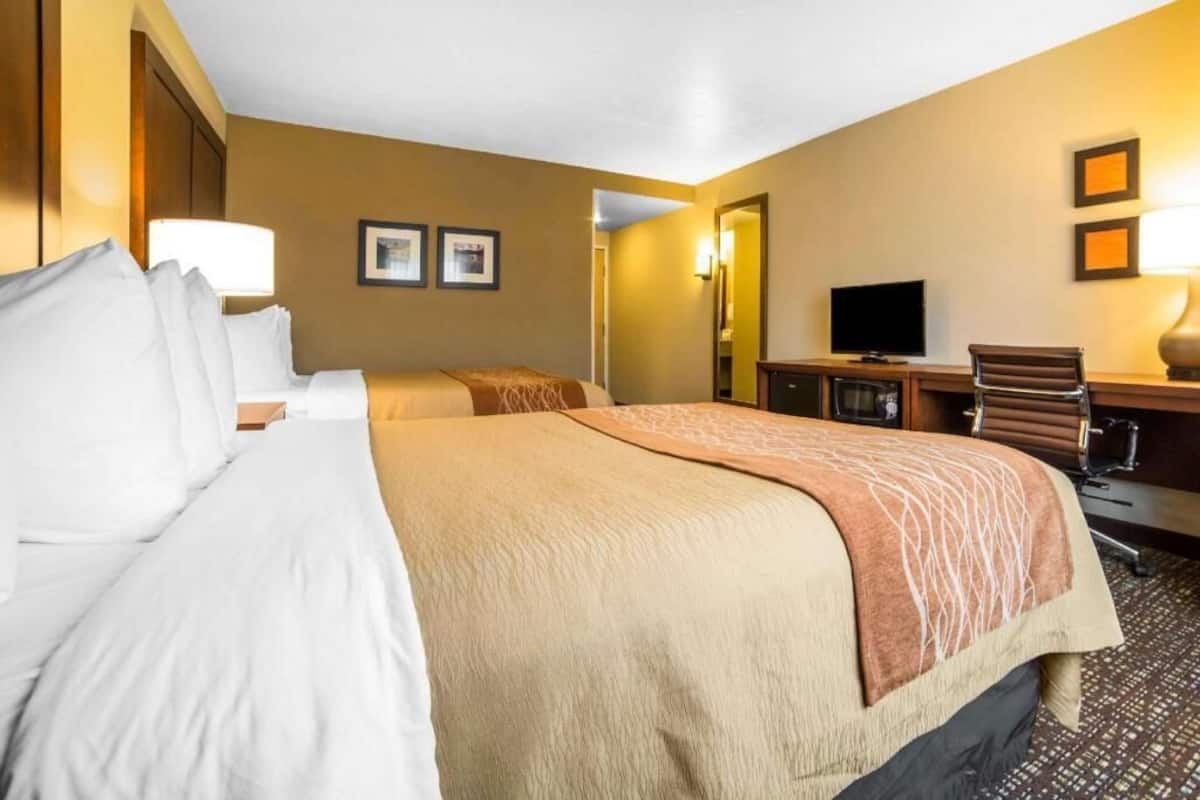 A hotel room with a bed, a desk with a chair, a television, and framed pictures on the wall.