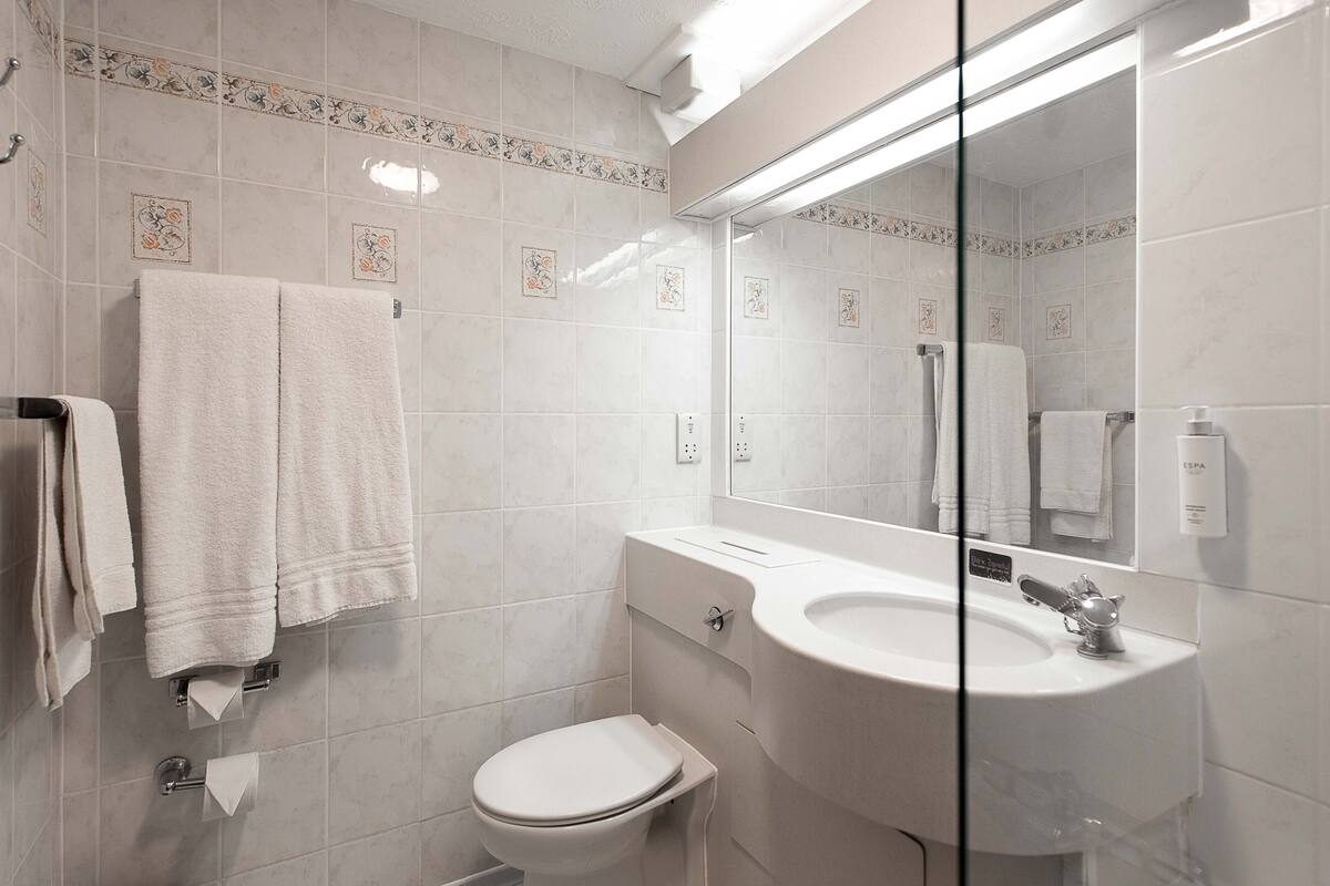 combined shower/bathtub, free toiletries, hair dryer, towels