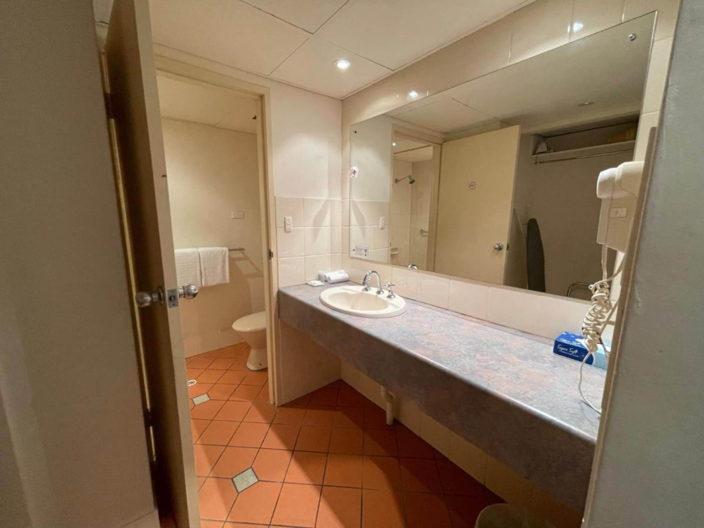 A bathroom with a sink, mirror, and toilet.
