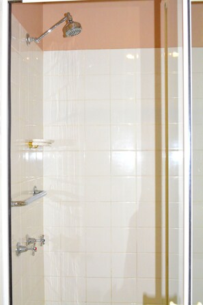 Shower, hair dryer, towels - Toorak Manor (Toorak)