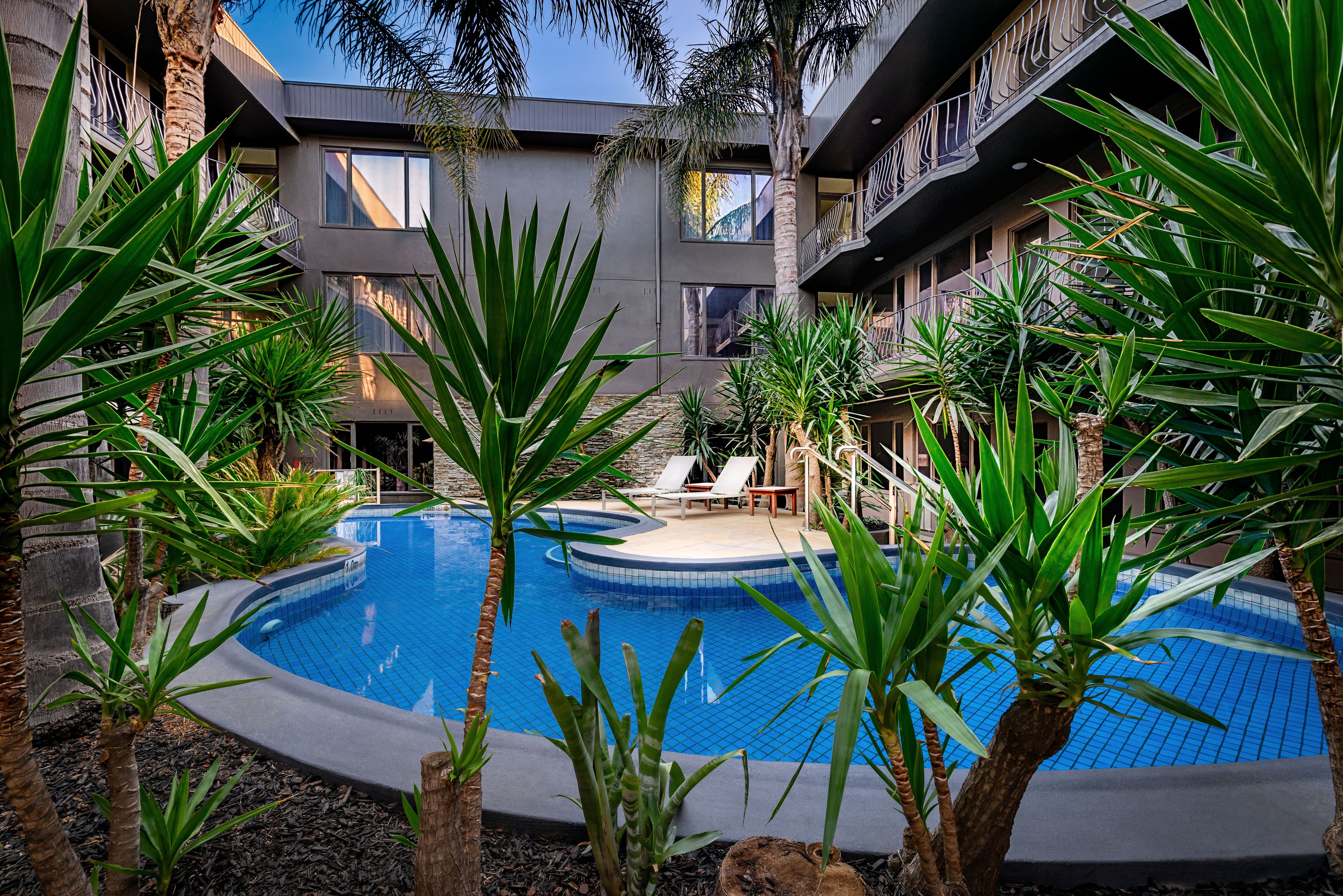 outdoor pool, pool umbrellas, pool loungers