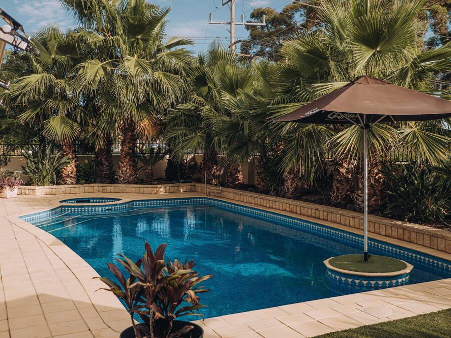 A swimming pool with a tiled edge, surrounded by palm trees and a tiled deck.