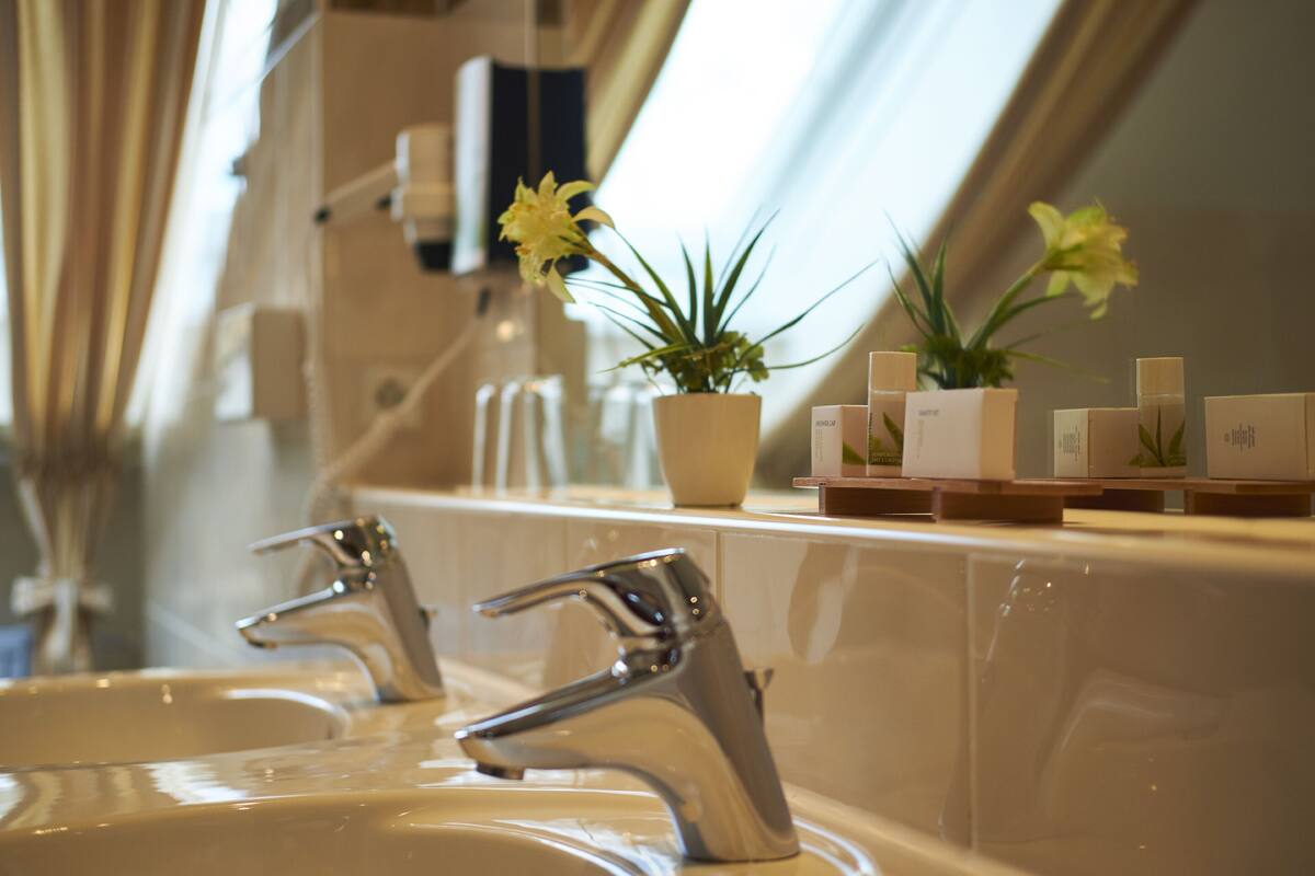 A bathroom with two sinks, a potted plant, and a set of toiletries on the counter.