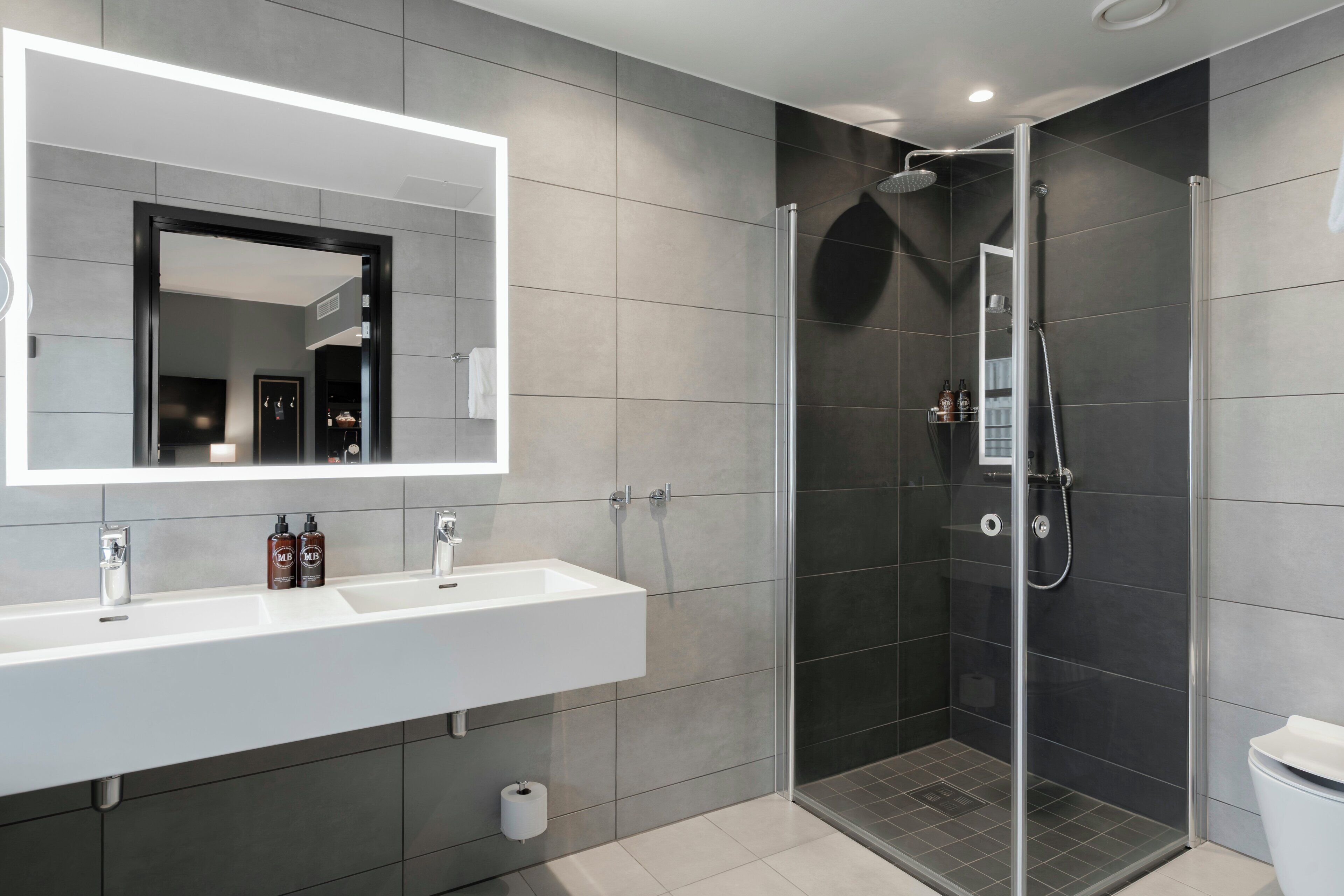 Hair dryer, towels, soap, toilet paper