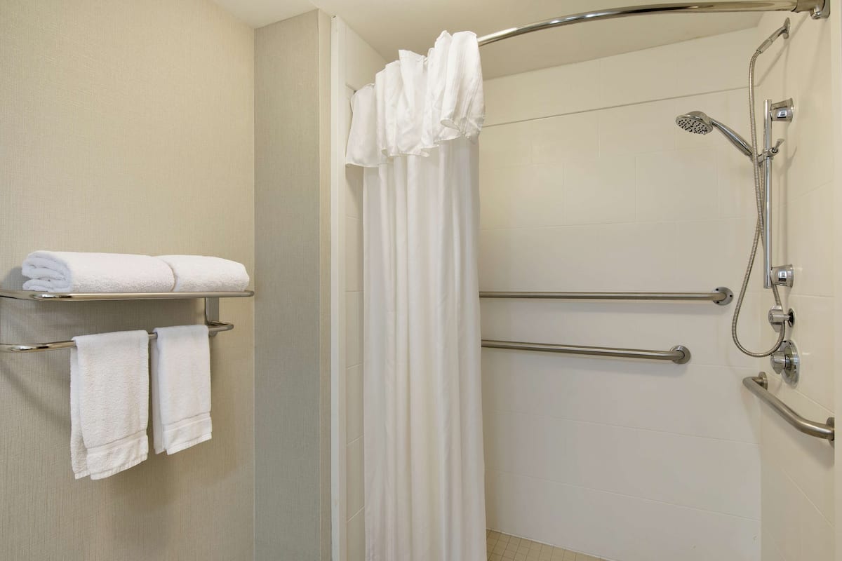 suite, accessible, non smoking (roll-in shower) | bathroom shower