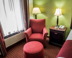 Standard Room, 1 King Bed, Non Smoking | Desk, laptop workspace, iron/ironing board, free WiFi