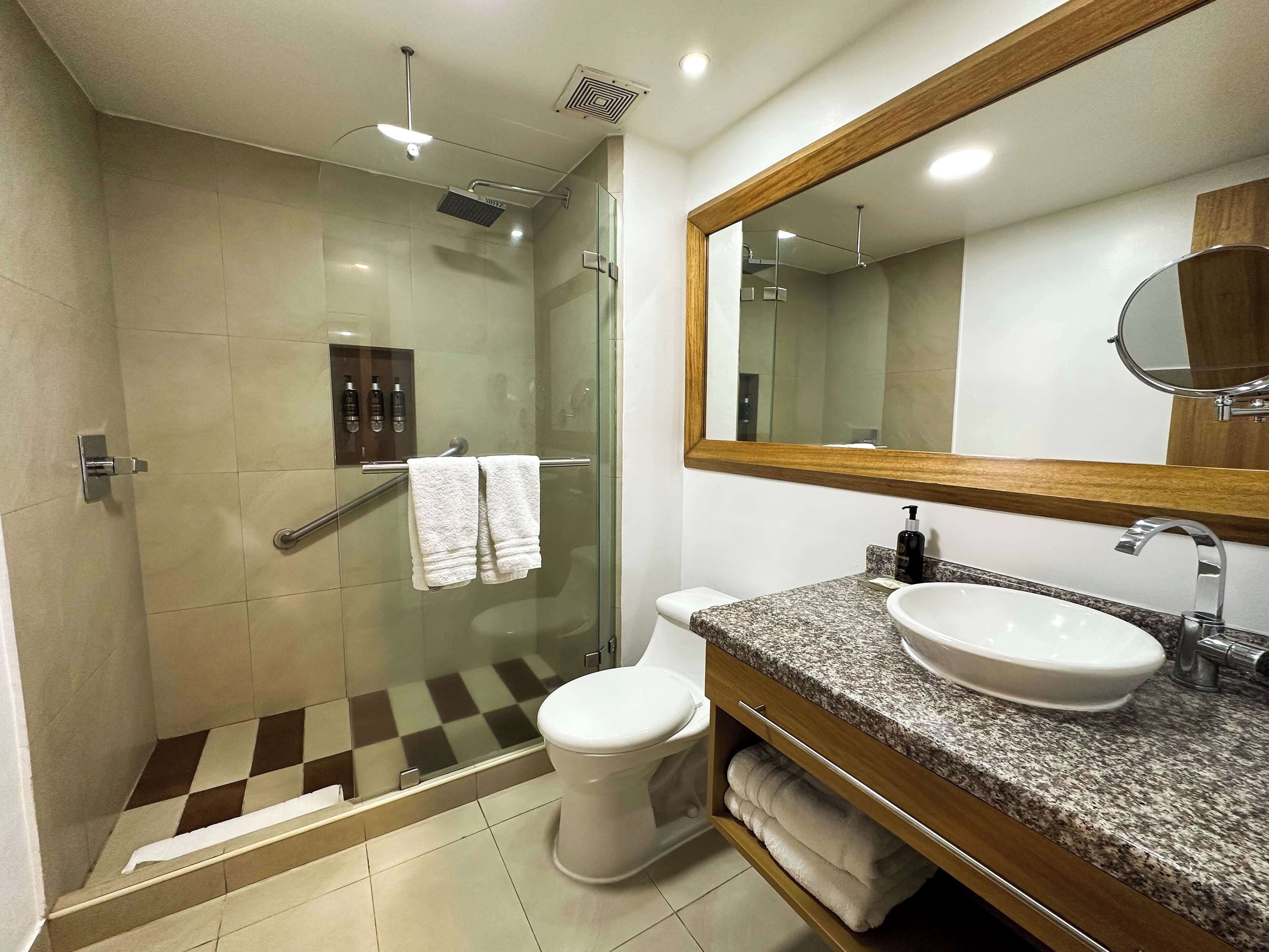 room, 1 queen bed, non smoking | bathroom | shower, free toiletries, hair dryer, towels