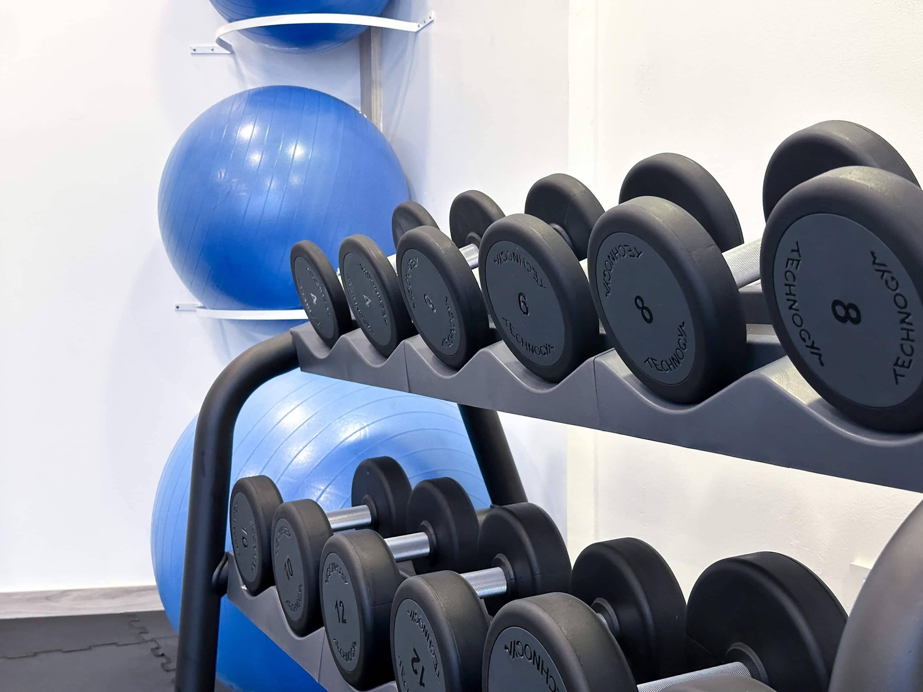 Un soporte con mancuernas de pesas que van de 2 a 12 kilogramos, una pelota de ejercicios azul y un disco de ejercicios azul.