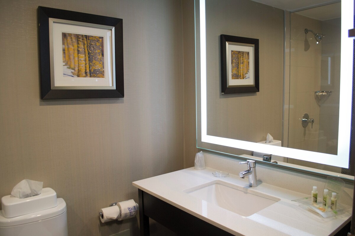 A bathroom with a sink, mirror, framed artwork, toilet, and a shower.