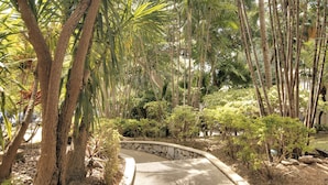 A pathway surrounded by tall bamboo trees and various shrubs. - Hilton Trinidad & Conference Centre (Port of Spain)