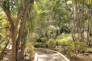 Vườn
