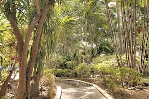 Vườn