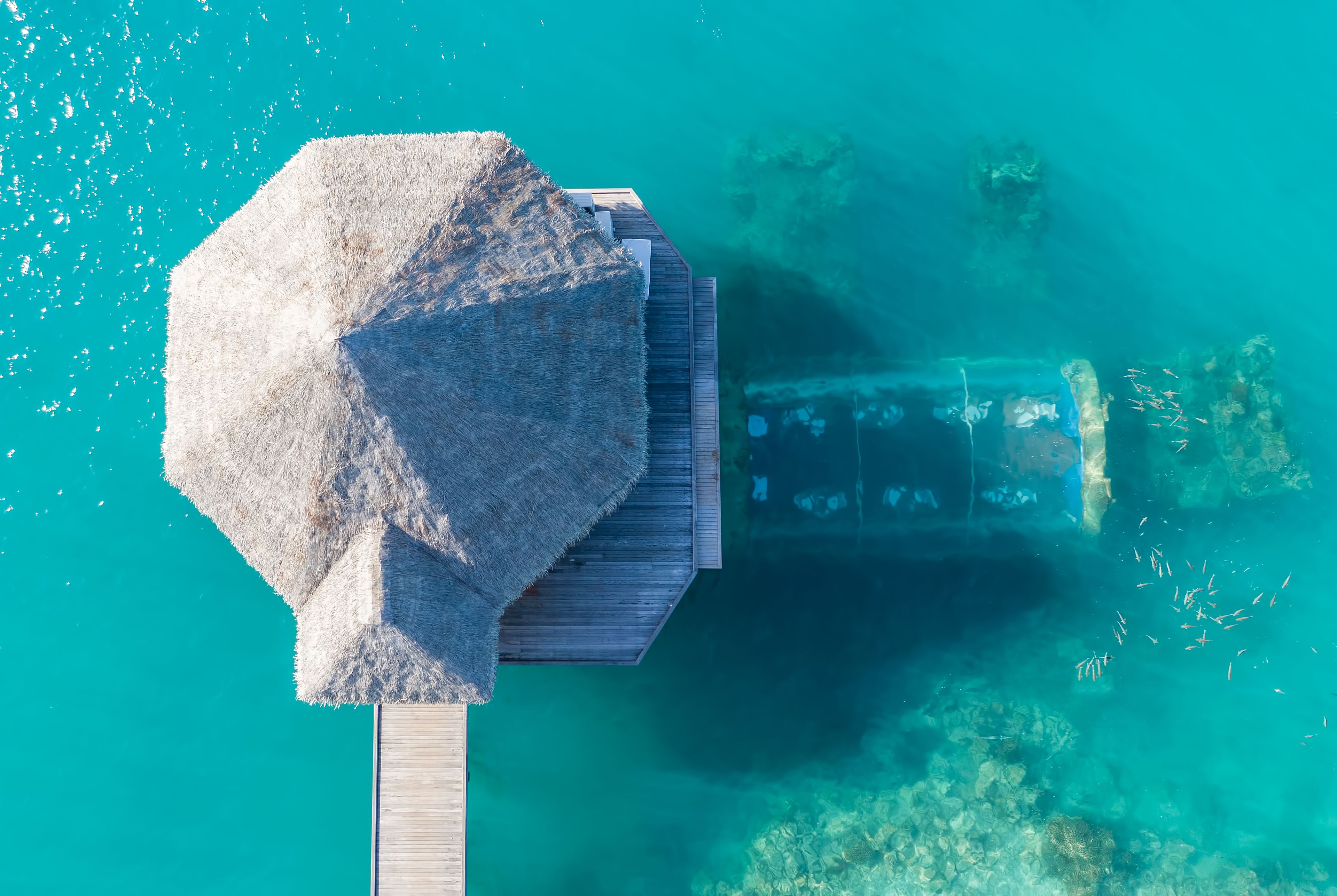 12 restaurants, breakfast, lunch served; Modern European cuisine 