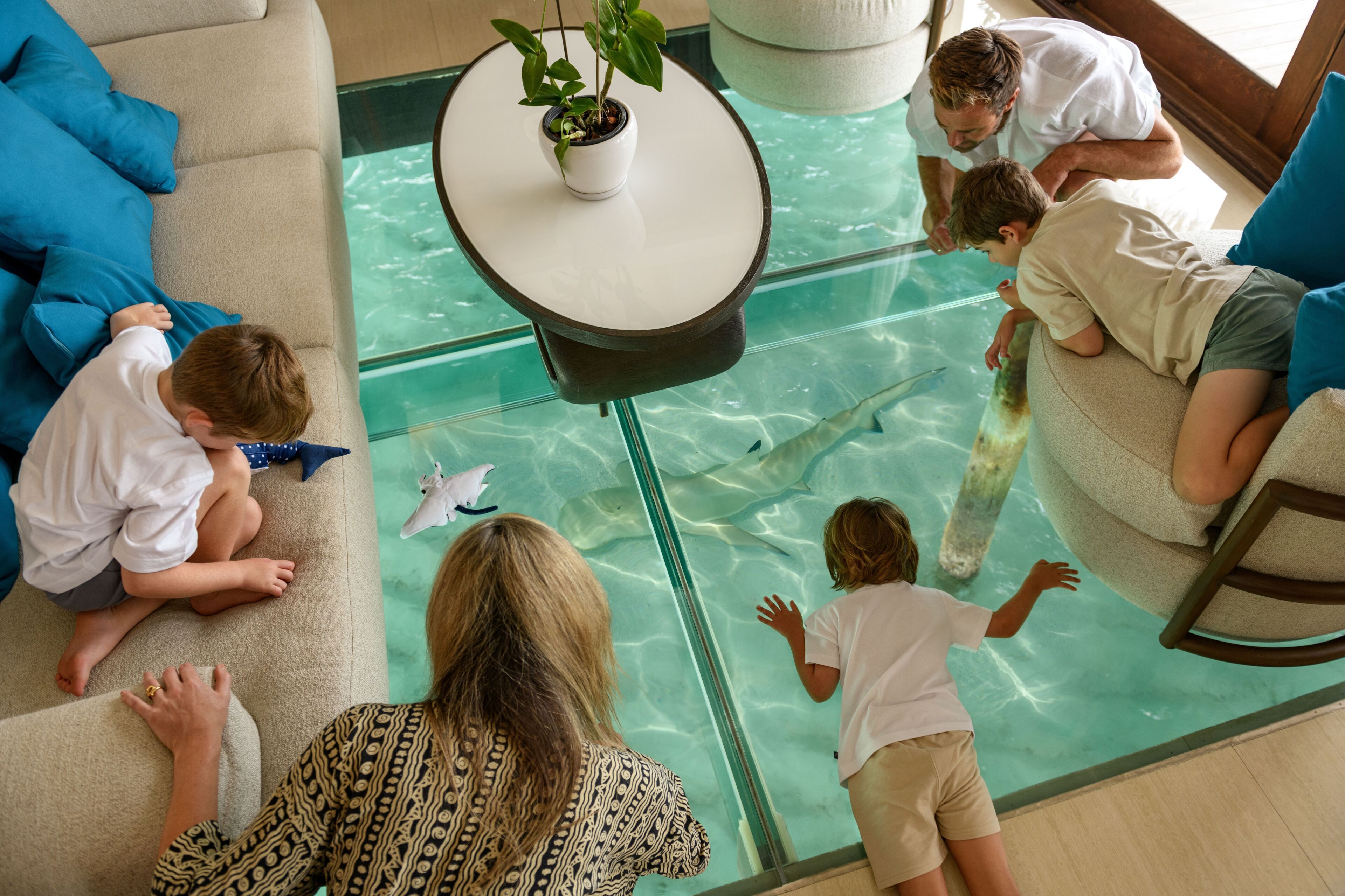A room with a glass floor, a potted plant on a table, and people sitting on a couch.