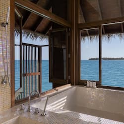 Separate tub and shower, deep soaking tub, rainfall showerhead