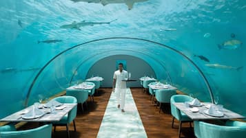 12 間餐廳;供應早餐、午餐、晚餐;現代歐洲菜