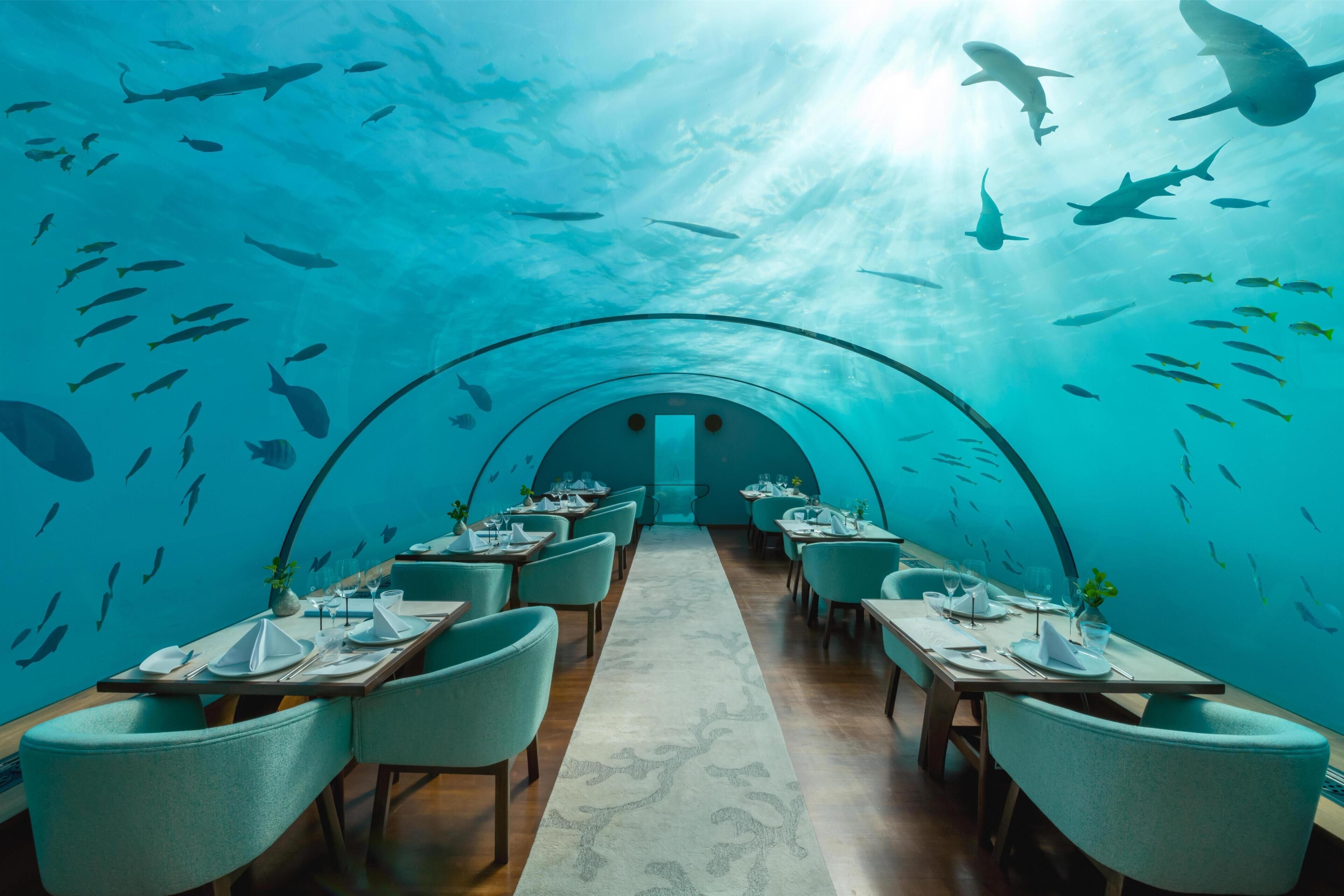 12 restaurants, breakfast, lunch served; Modern European cuisine 
