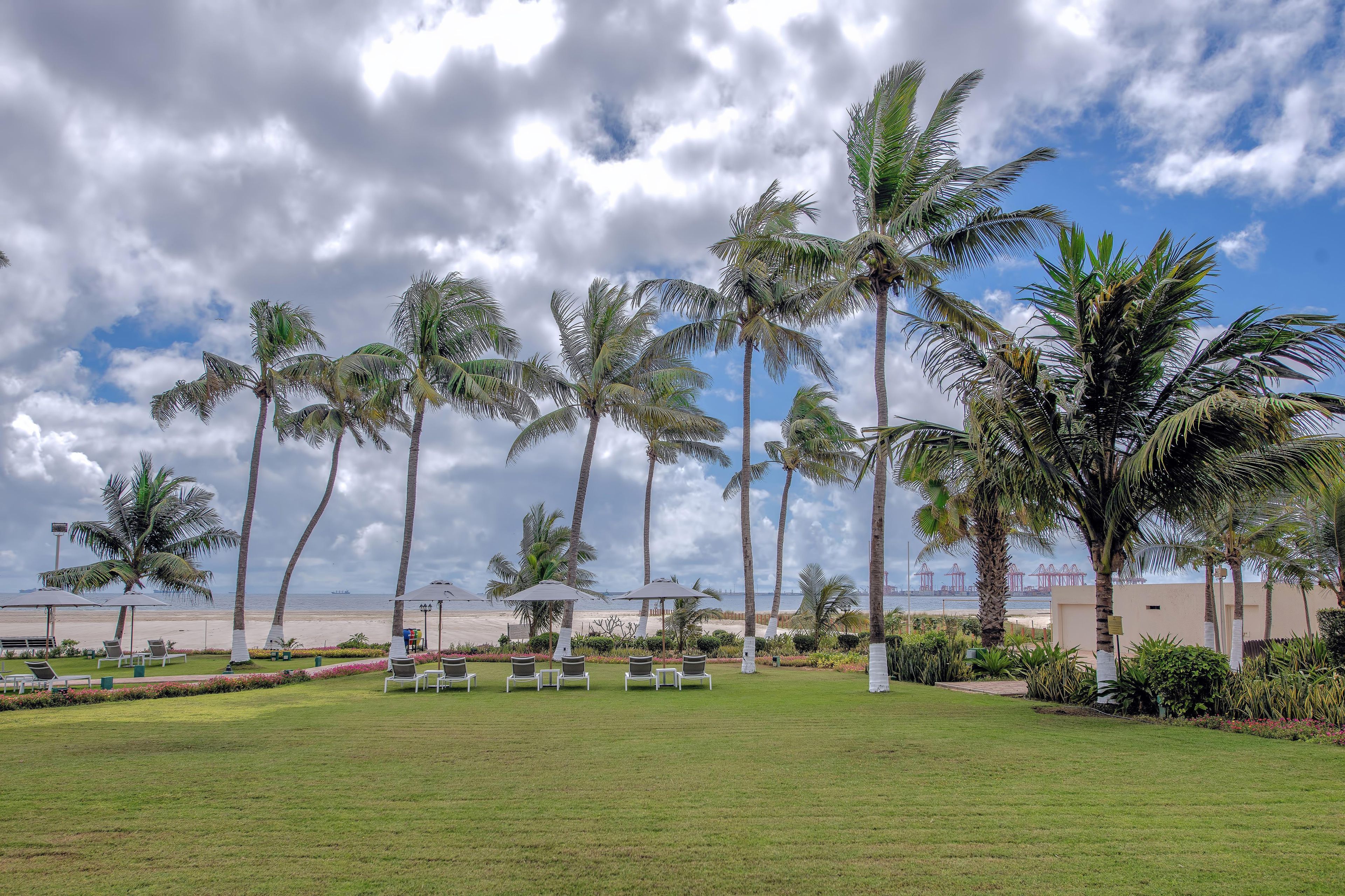 Um resort à beira-mar com palmeiras, espreguiçadeiras e vista para o mar.