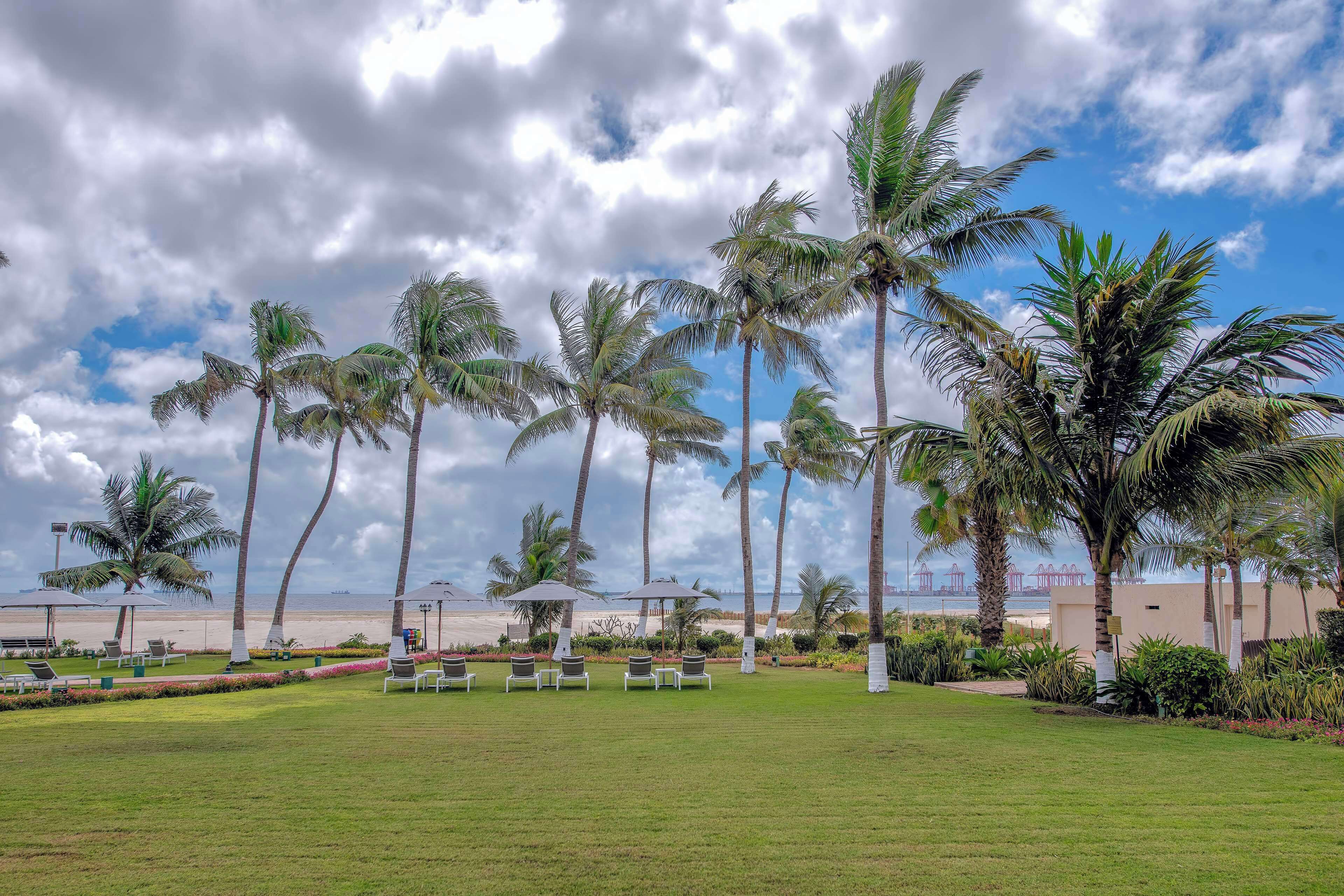 Um resort tropical com palmeiras, uma praia e cadeiras de descanso.