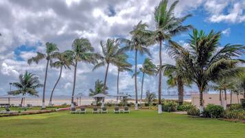 Um resort tropical com palmeiras, uma praia e cadeiras de descanso.