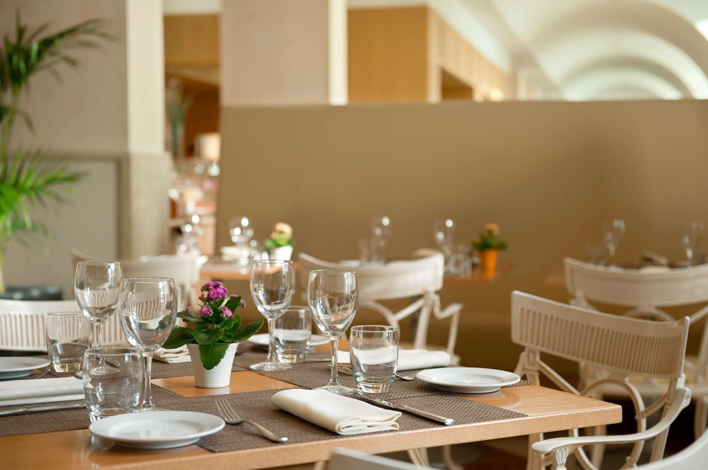 A dining table set with multiple wine glasses, plates, and cutlery, with a small potted plant and a folded napkin on the table.