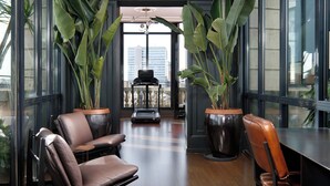 Um interior moderno com poltronas de couro, plantas grandes em vasos e vista através de janelas amplas.