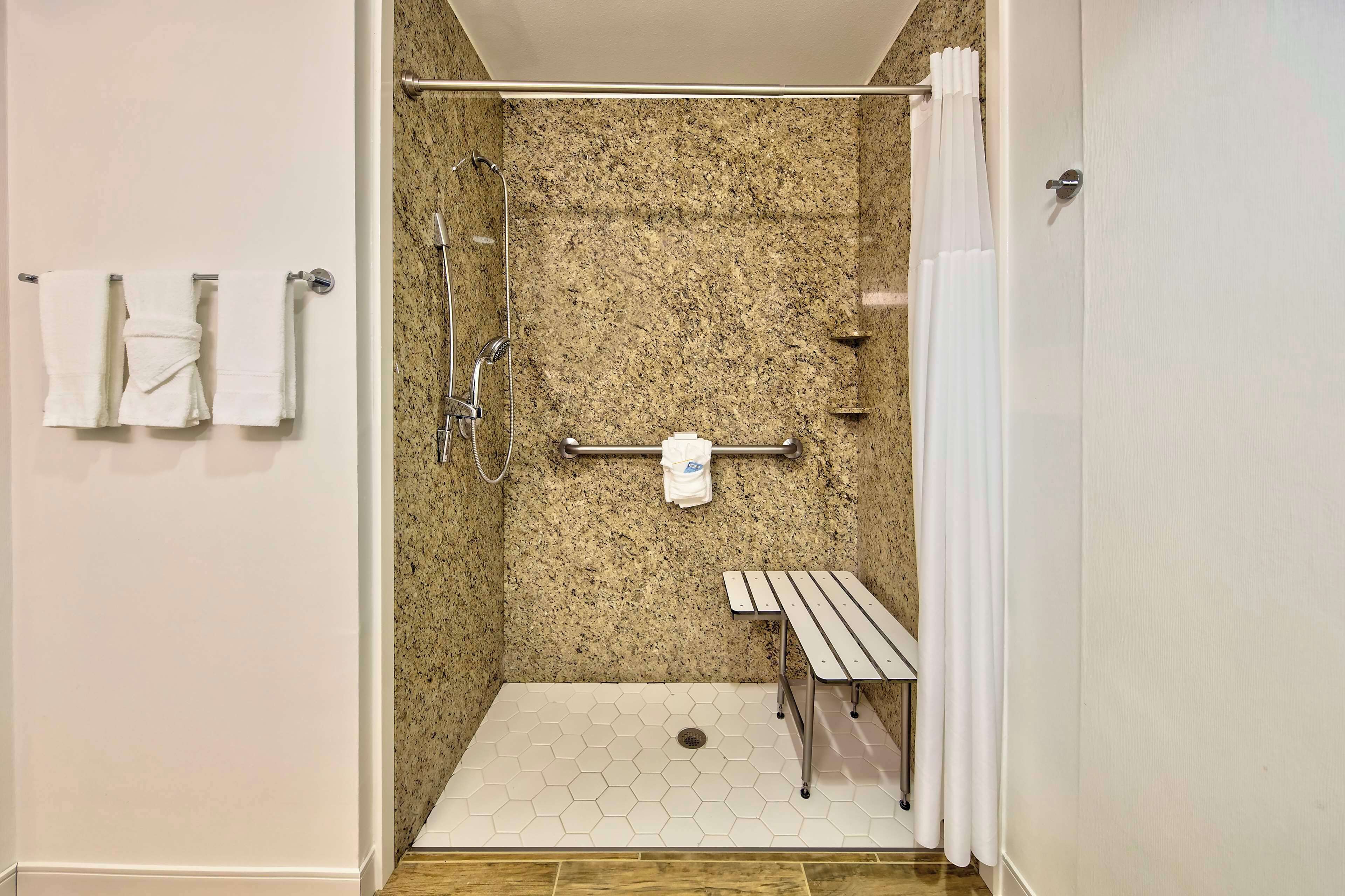 room, 2 double beds (mobility, roll-in shower) | bathroom shower