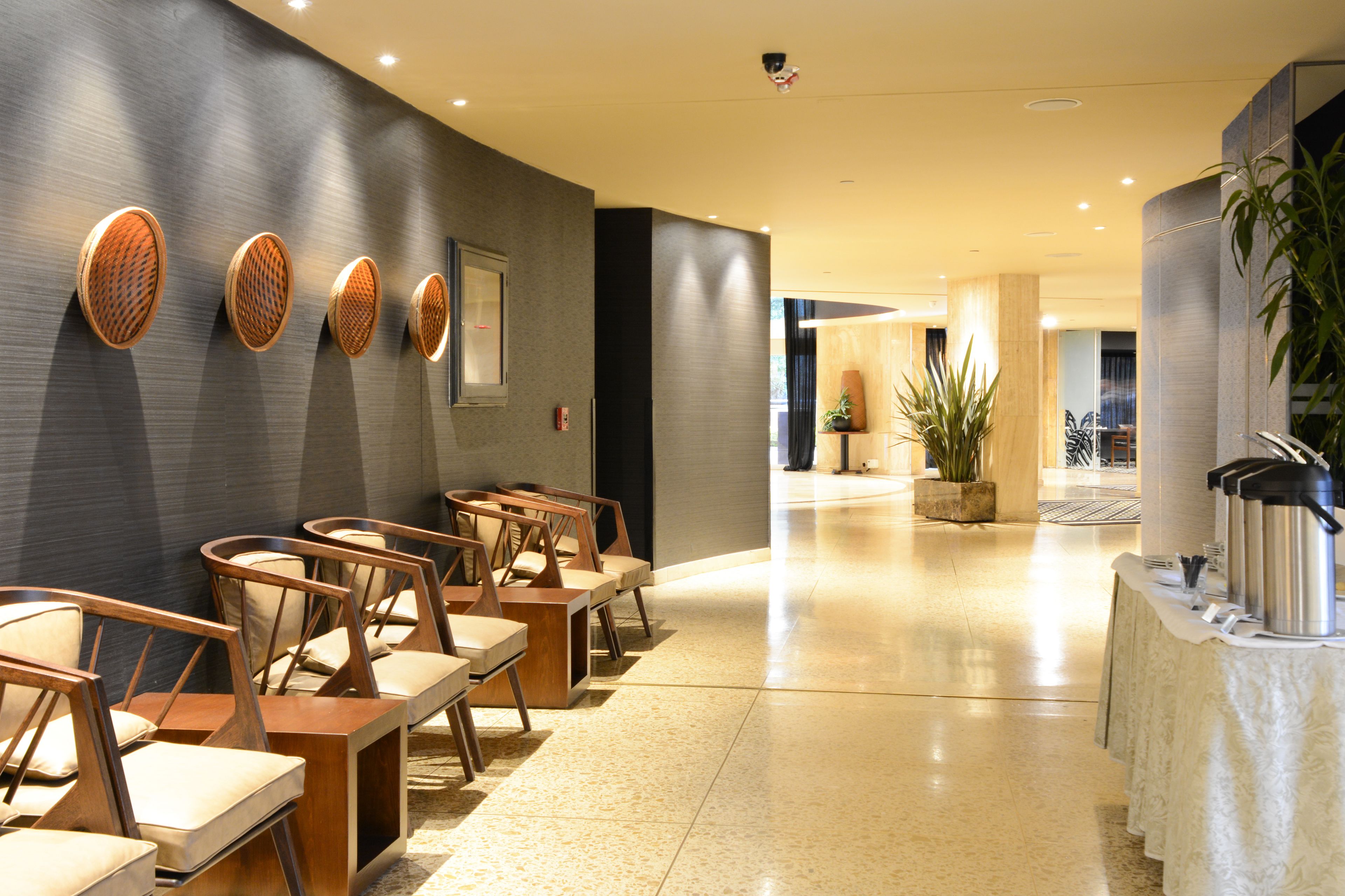 A modern hotel lobby with a long reception desk, several wooden chairs, and a large potted plant.